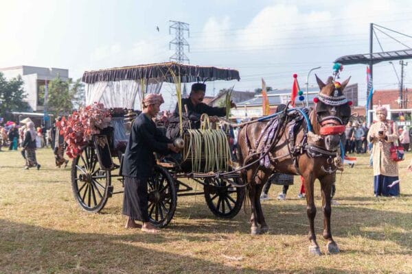 Paket Foto & Video Event Mini Sedrehana